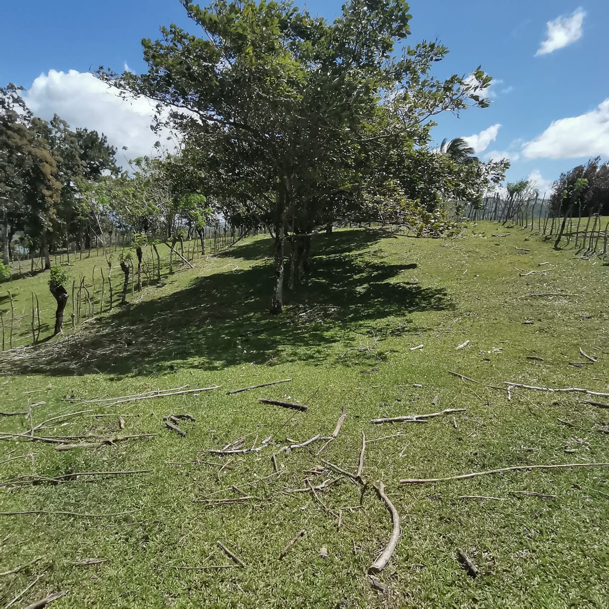 12,510 M2 (3.09 acre) LAKE VIEW Property with Volcano Views in Tronadora  photo 10