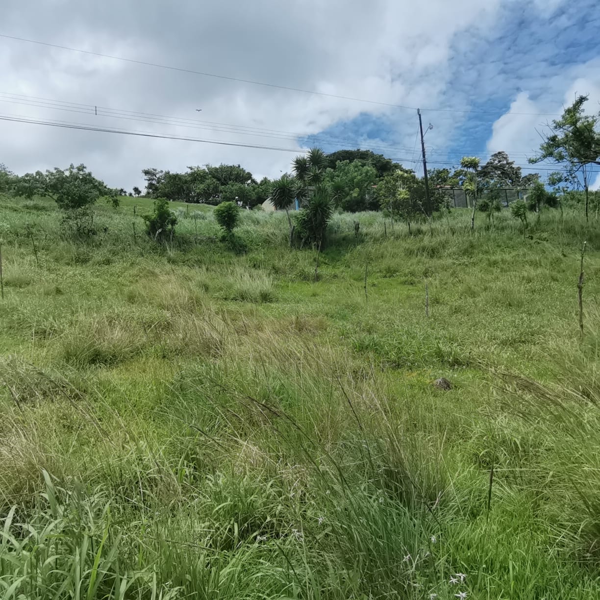 Large, Lake and Volcano View Parcel with Modest Tico Home and LAKE ACCESS  photo 7