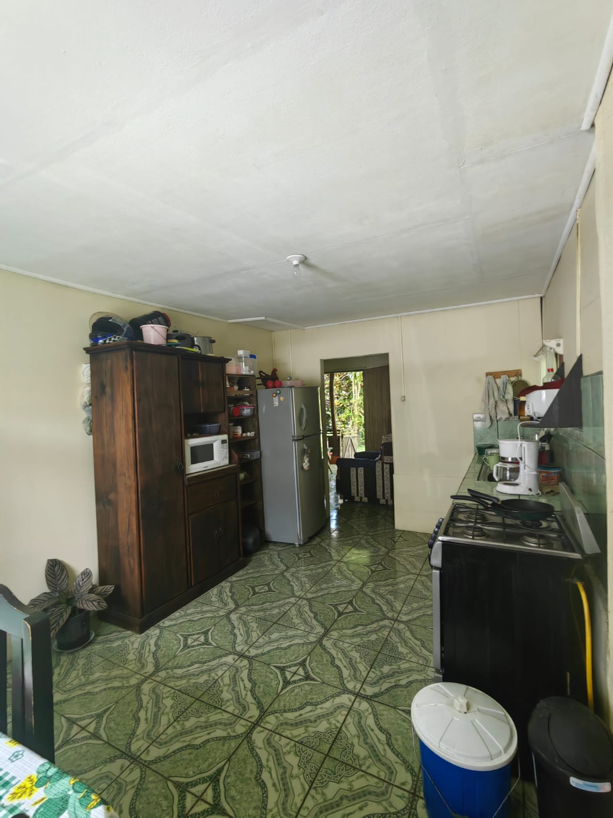 11,800m2 Producing Fruit Farm with Private Well + Modest Tico Home  photo 59