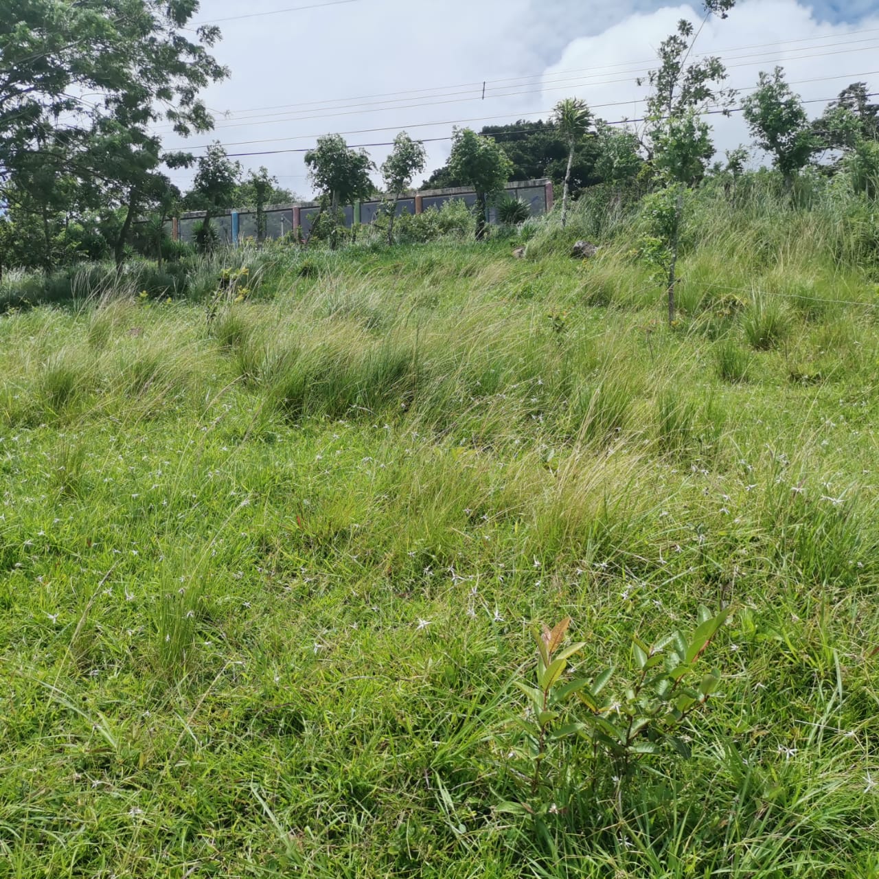 Large, Lake and Volcano View Parcel with Modest Tico Home and LAKE ACCESS  photo 18