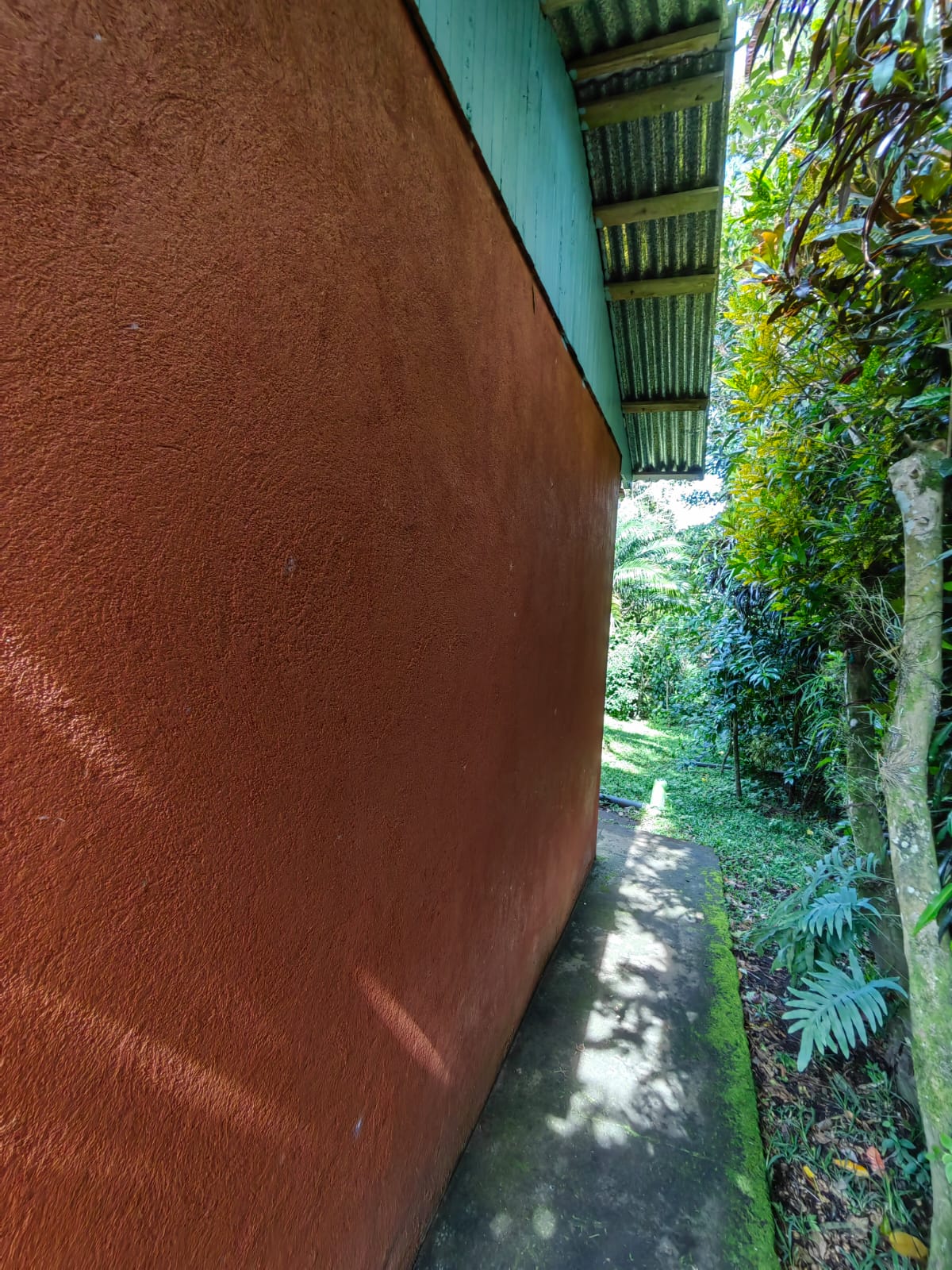 11,800m2 Producing Fruit Farm with Private Well + Modest Tico Home  photo 58