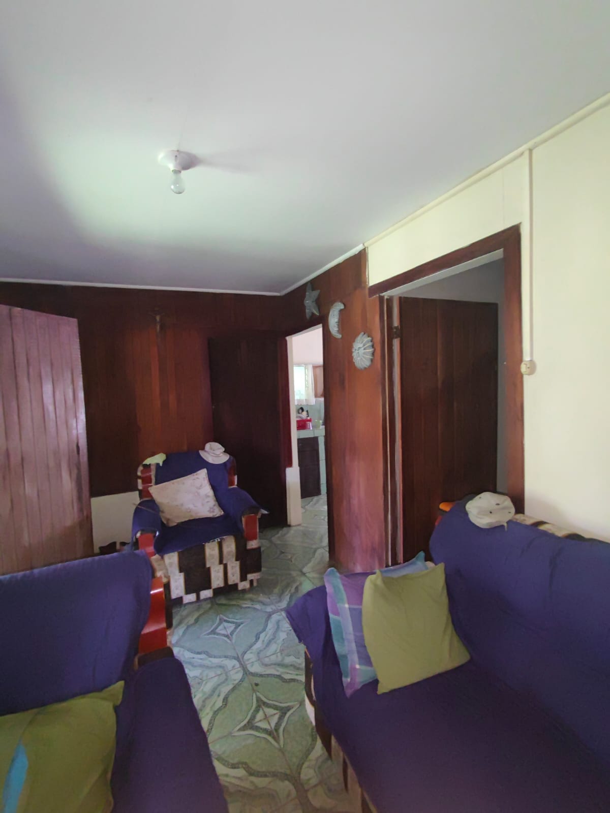 11,800m2 Producing Fruit Farm with Private Well + Modest Tico Home  photo 71