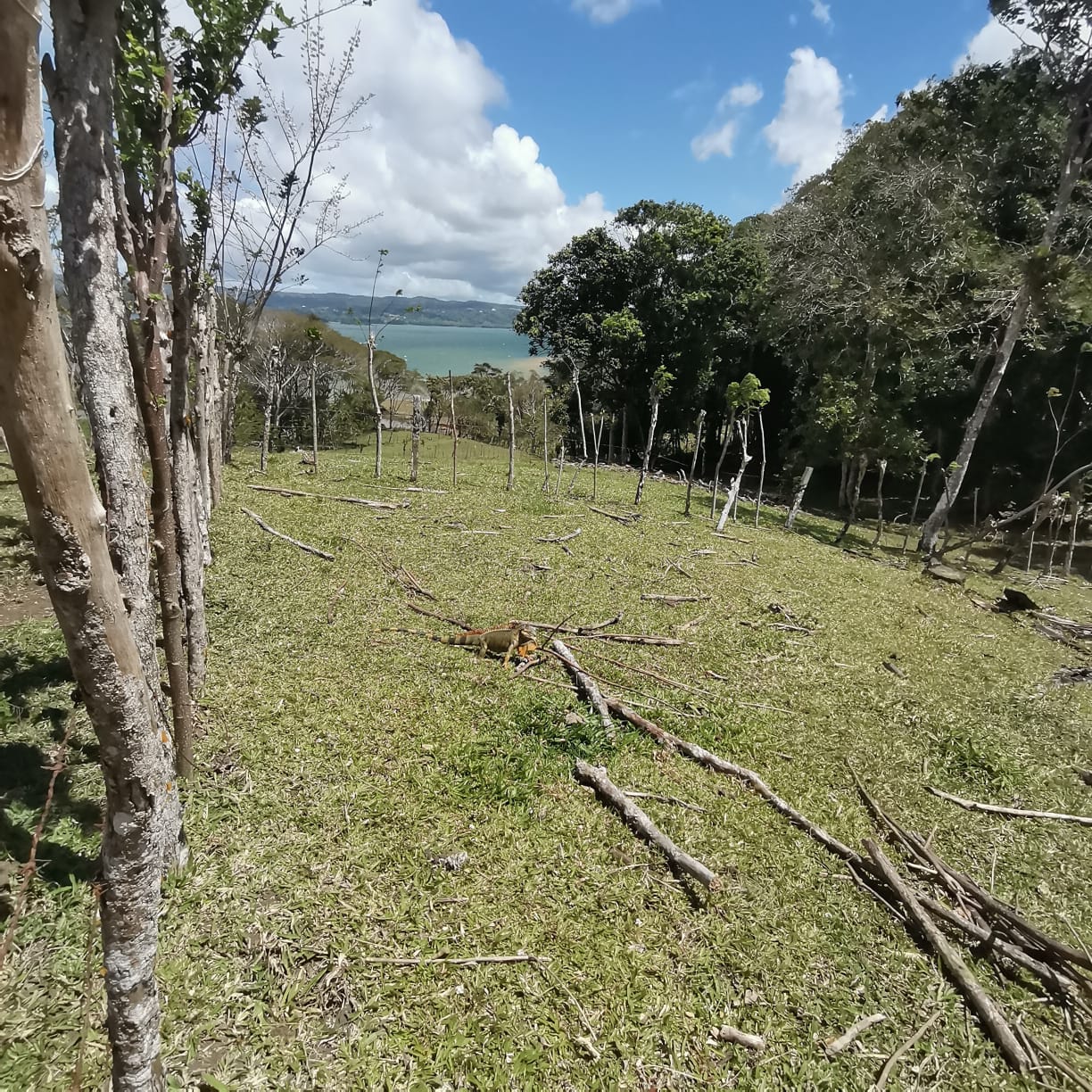 12,510 M2 (3.09 acre) LAKE VIEW Property with Volcano Views in Tronadora  photo 8