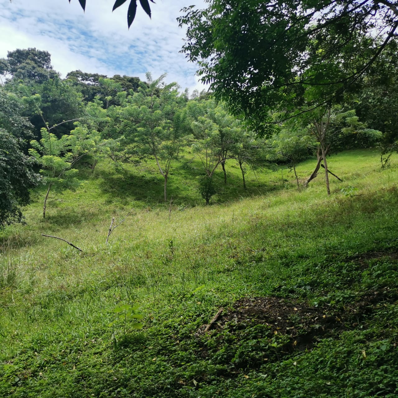 Large, Lake and Volcano View Parcel with Modest Tico Home and LAKE ACCESS  photo 39