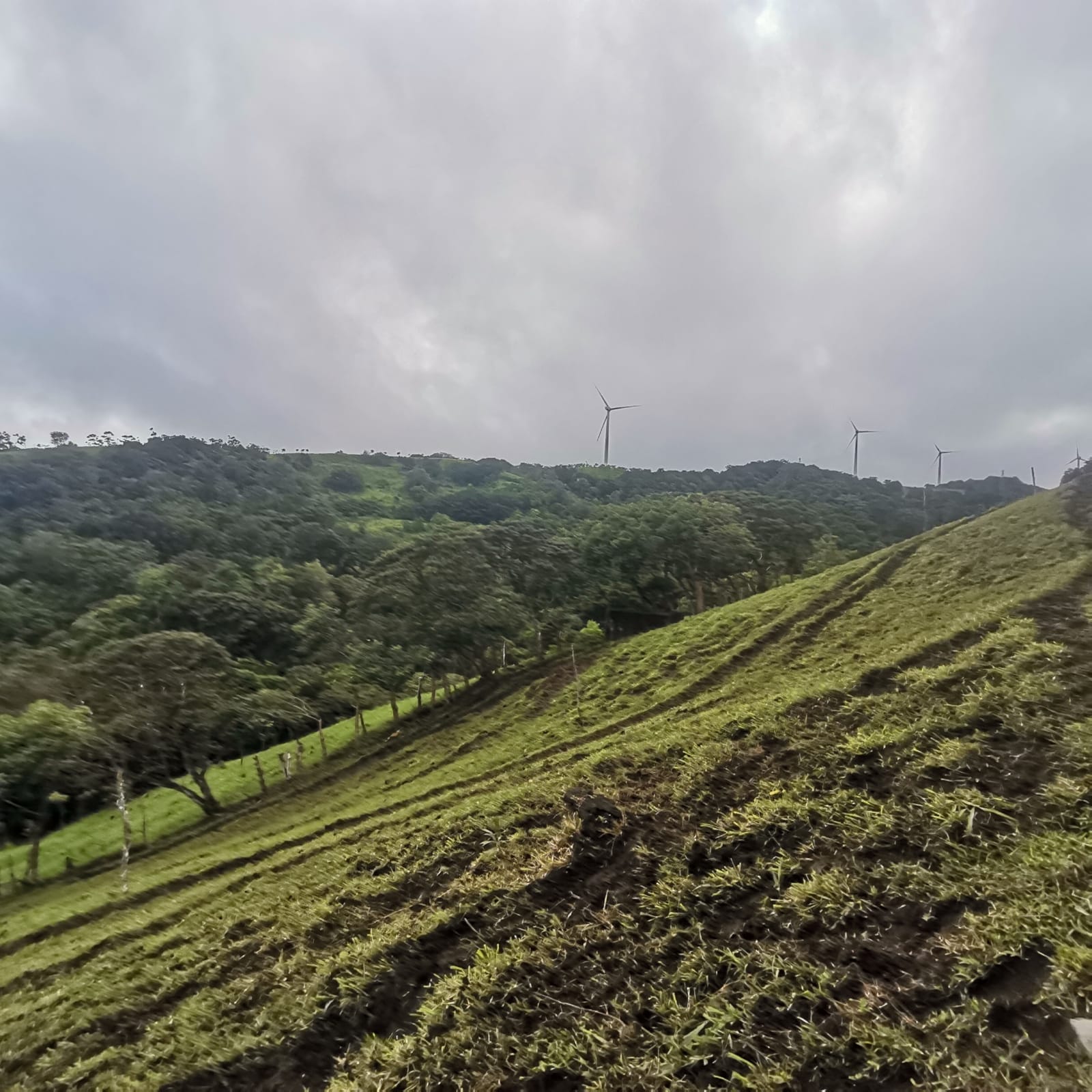 Sprawling 7 Hectare (17.3 acre) Mountain View Farm in Tilaran  photo 13