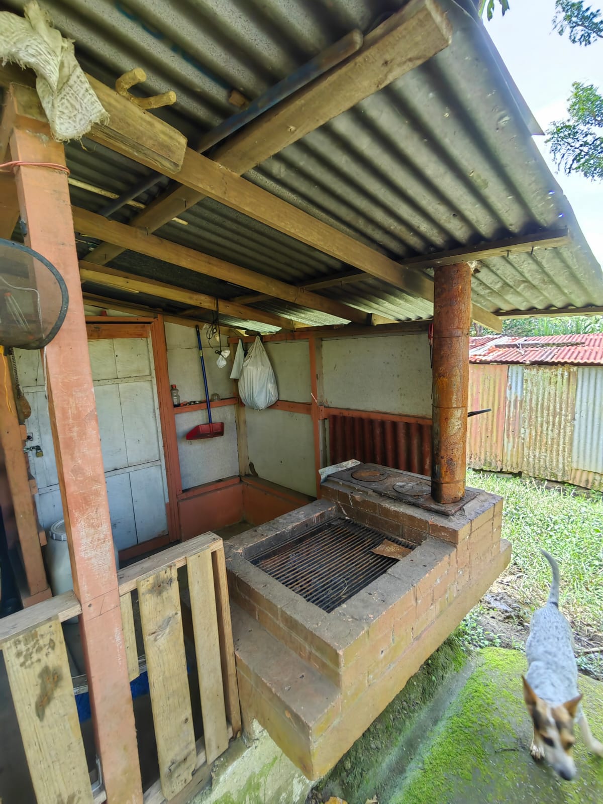 11,800m2 Producing Fruit Farm with Private Well + Modest Tico Home  photo 61