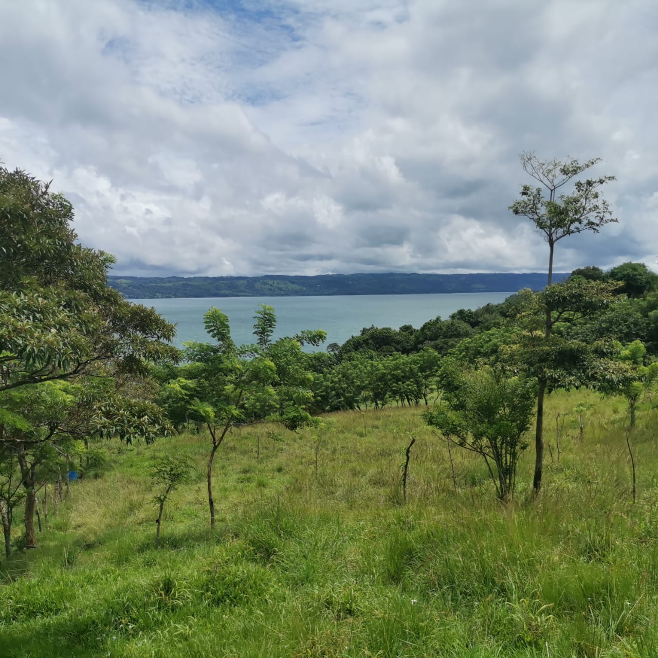 Large, Lake and Volcano View Parcel with Modest Tico Home and LAKE ACCESS  photo 16