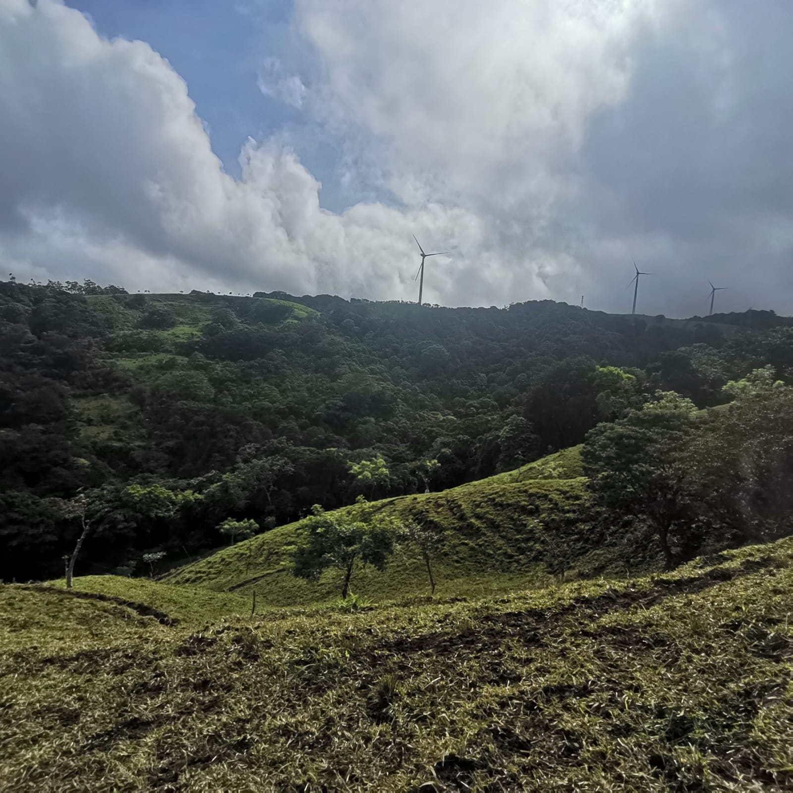 Sprawling 7 Hectare (17.3 acre) Mountain View Farm in Tilaran  photo 19