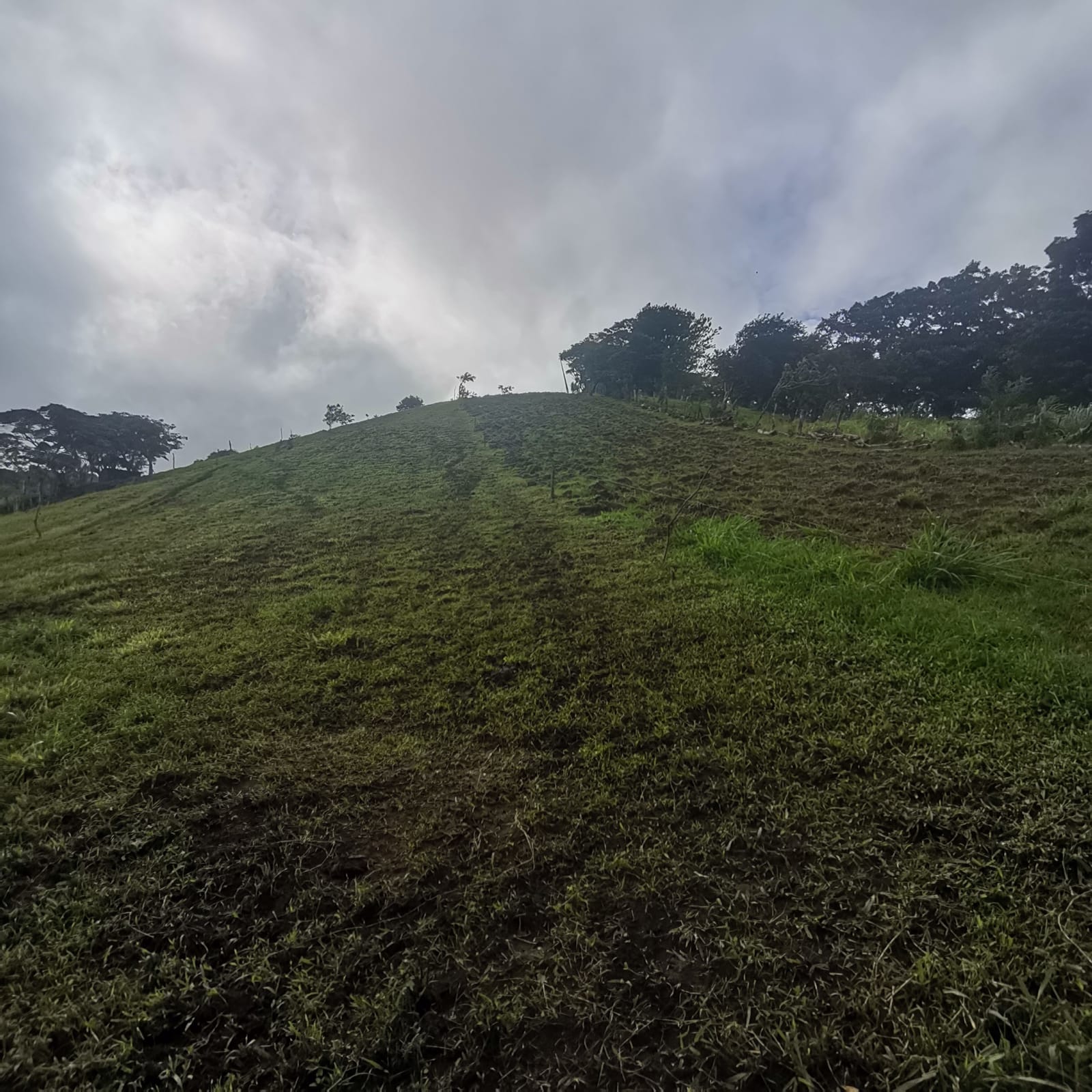 Sprawling 7 Hectare (17.3 acre) Mountain View Farm in Tilaran  photo 12