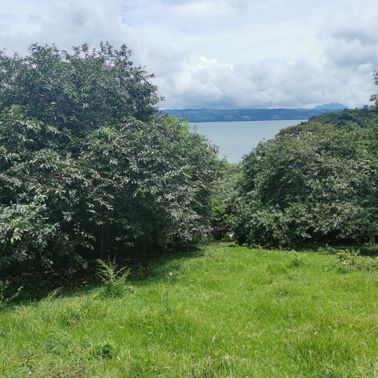 Large, Lake and Volcano View Parcel with Modest Tico Home and LAKE ACCESS  photo 35