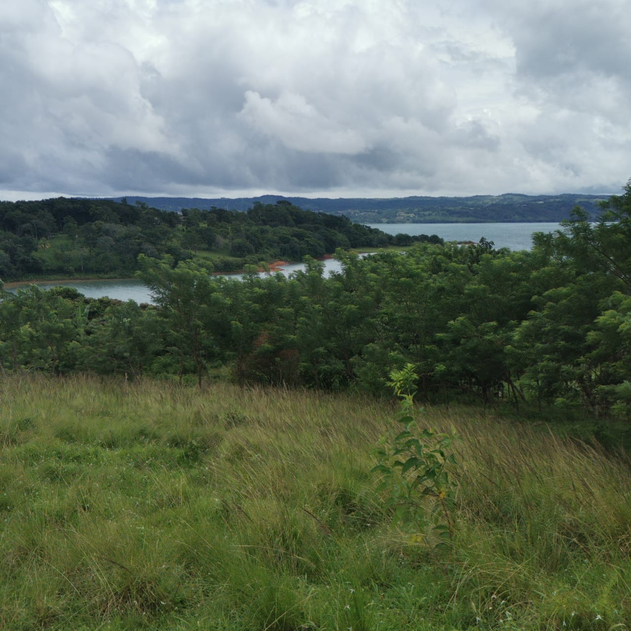 Large, Lake and Volcano View Parcel with Modest Tico Home and LAKE ACCESS  photo 44