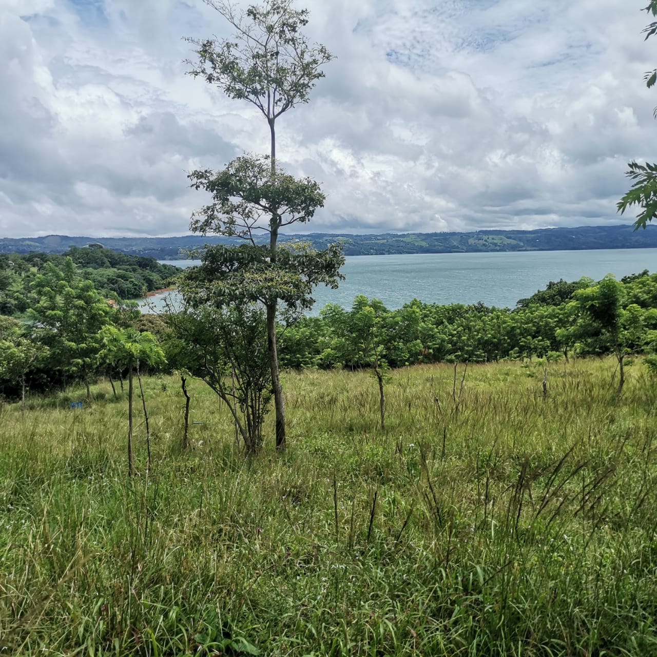 Large, Lake and Volcano View Parcel with Modest Tico Home and LAKE ACCESS  photo 10