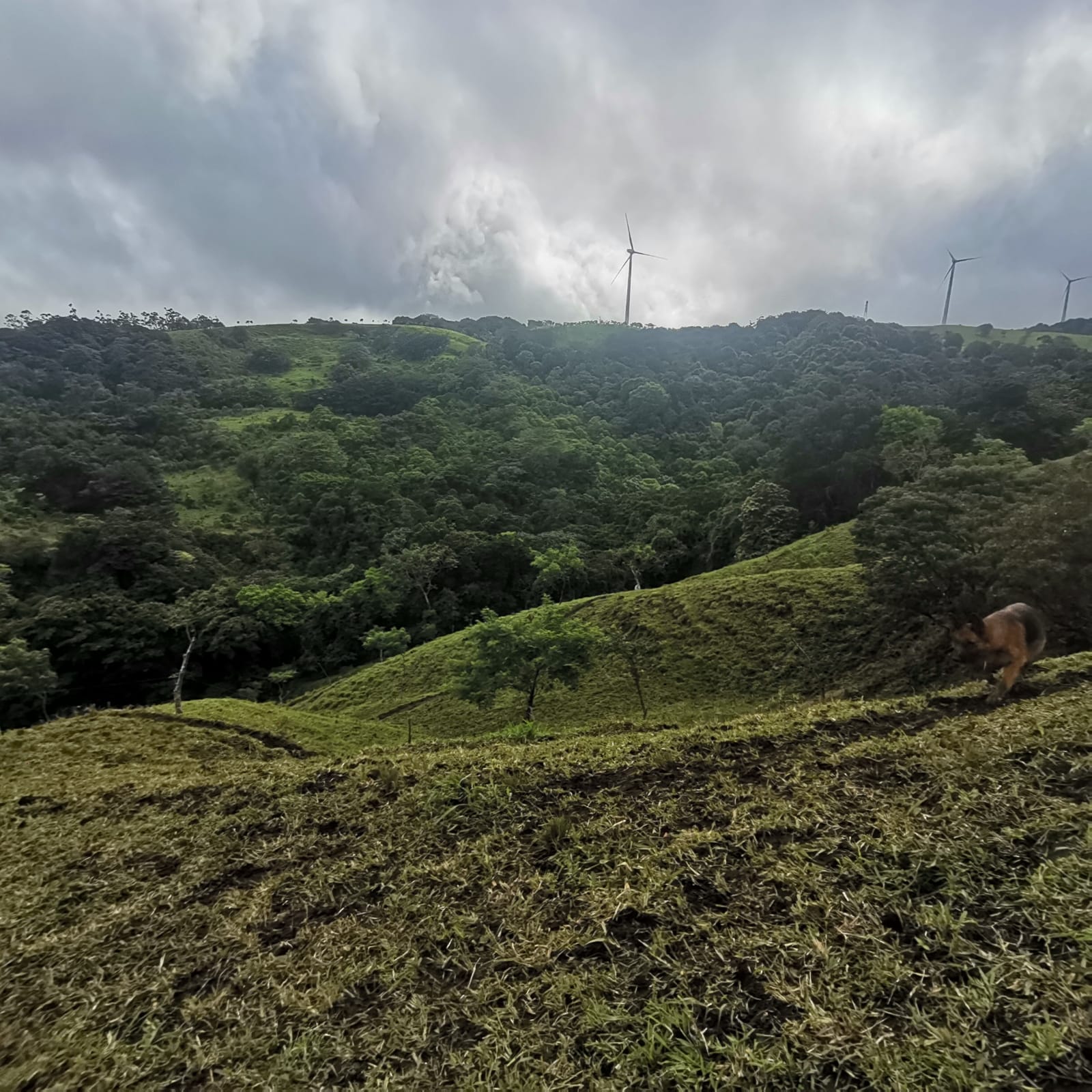 Sprawling 7 Hectare (17.3 acre) Mountain View Farm in Tilaran  photo 18