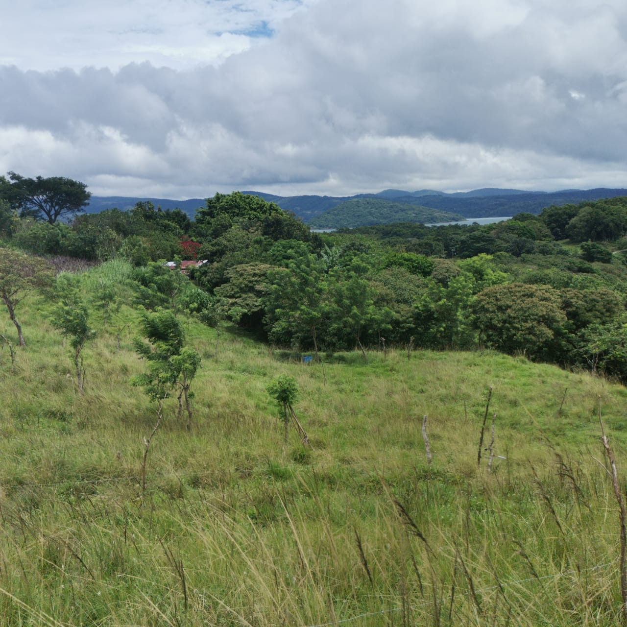 Large, Lake and Volcano View Parcel with Modest Tico Home and LAKE ACCESS  photo 6