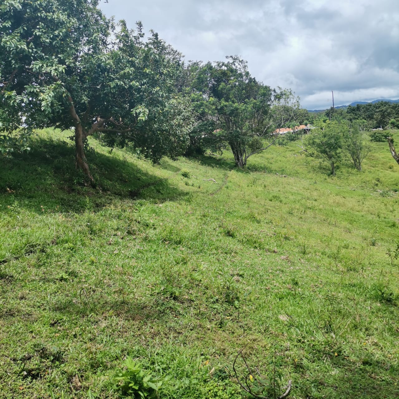 Large, Lake and Volcano View Parcel with Modest Tico Home and LAKE ACCESS  photo 32