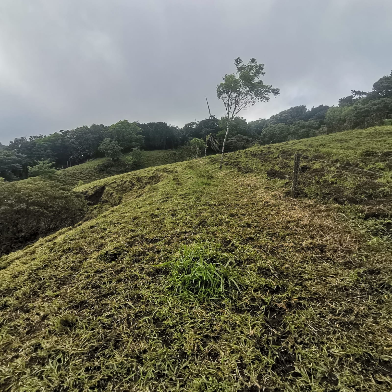 Sprawling 7 Hectare (17.3 acre) Mountain View Farm in Tilaran  photo 17