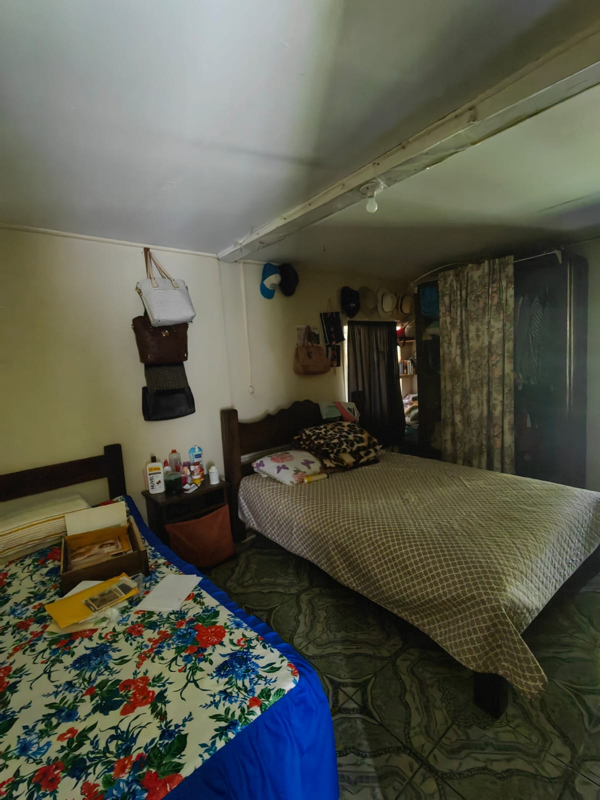 11,800m2 Producing Fruit Farm with Private Well + Modest Tico Home  photo 66