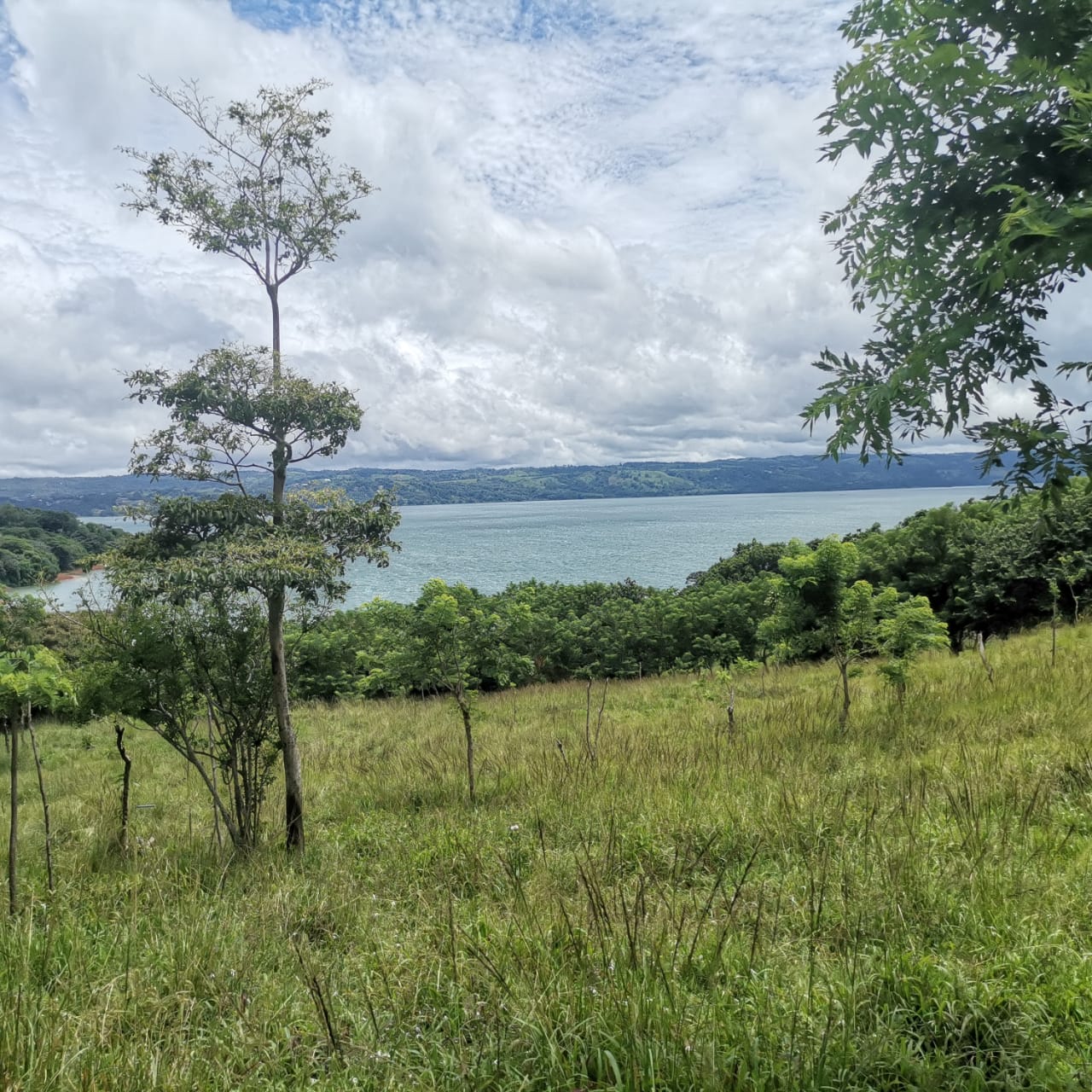 Large, Lake and Volcano View Parcel with Modest Tico Home and LAKE ACCESS  photo 11