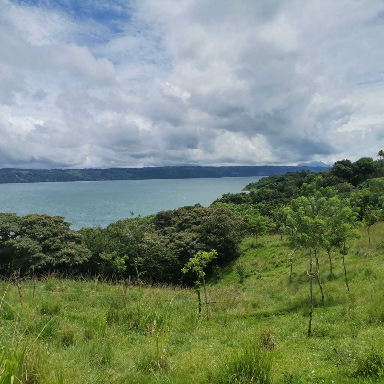 Large, Lake and Volcano View Parcel with Modest Tico Home and LAKE ACCESS  photo 20