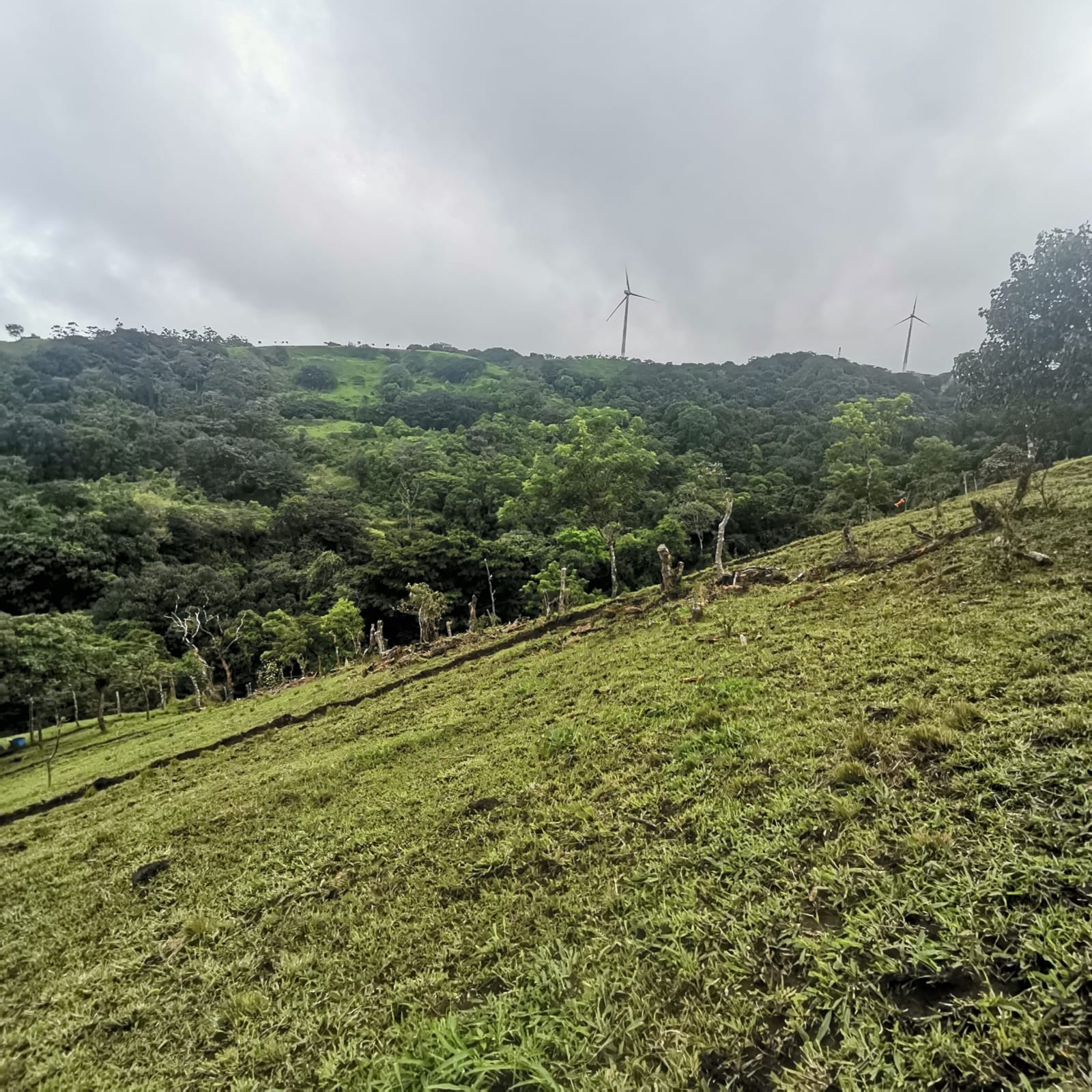 Sprawling 7 Hectare (17.3 acre) Mountain View Farm in Tilaran  photo 15