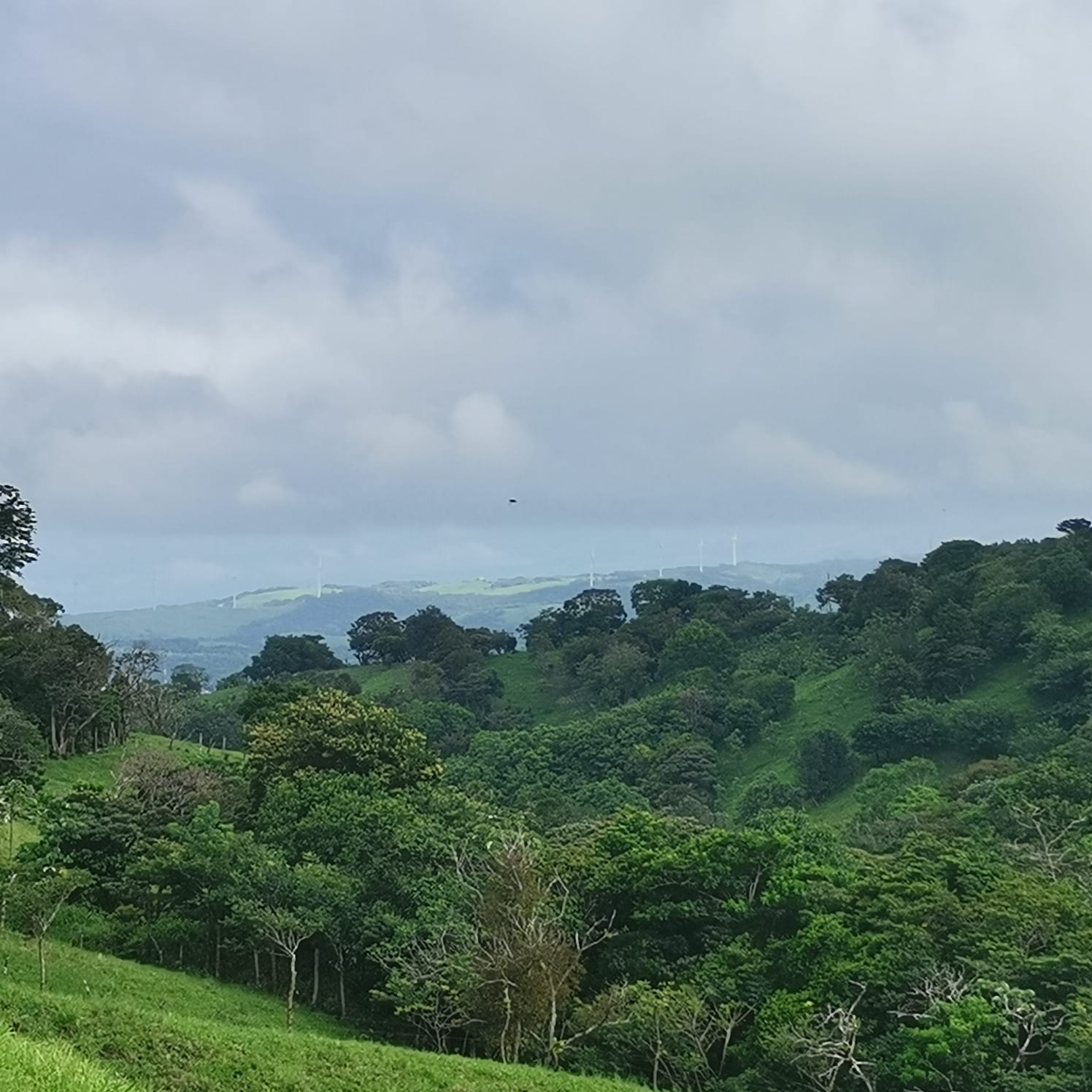 Sprawling 7 Hectare (17.3 acre) Mountain View Farm in Tilaran  photo 21