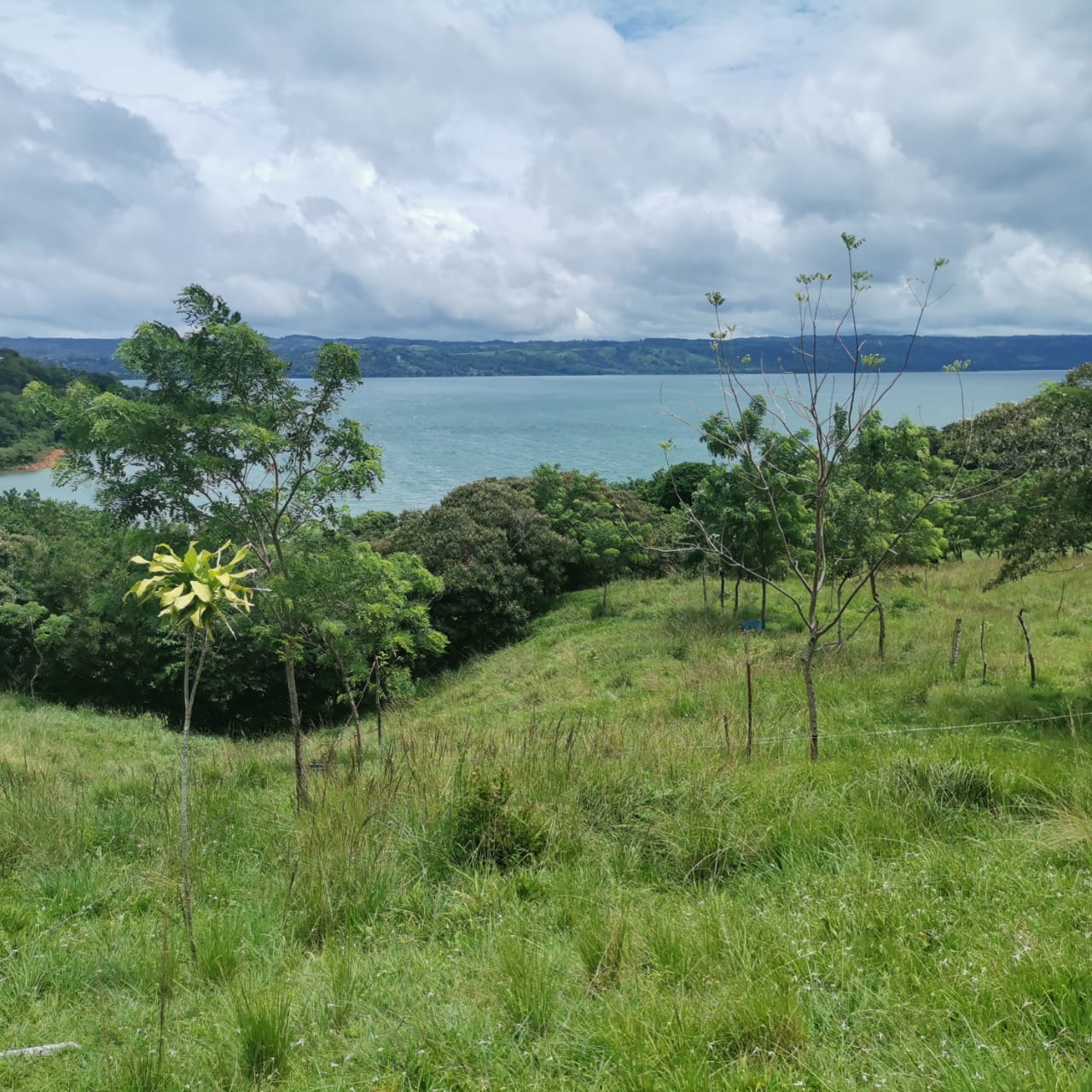 Large, Lake and Volcano View Parcel with Modest Tico Home and LAKE ACCESS  photo 17