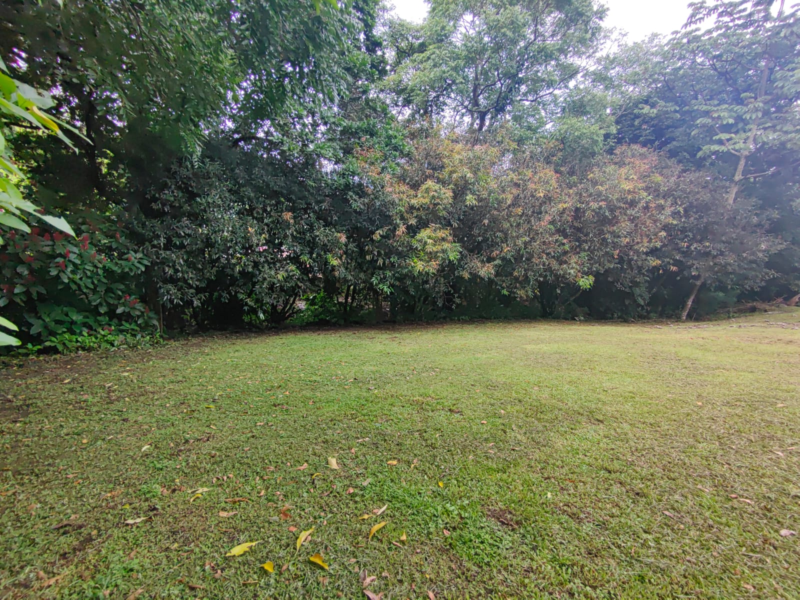 Touristic Complex w/Restaurant, Pools, Cabins, House and more!  photo 50