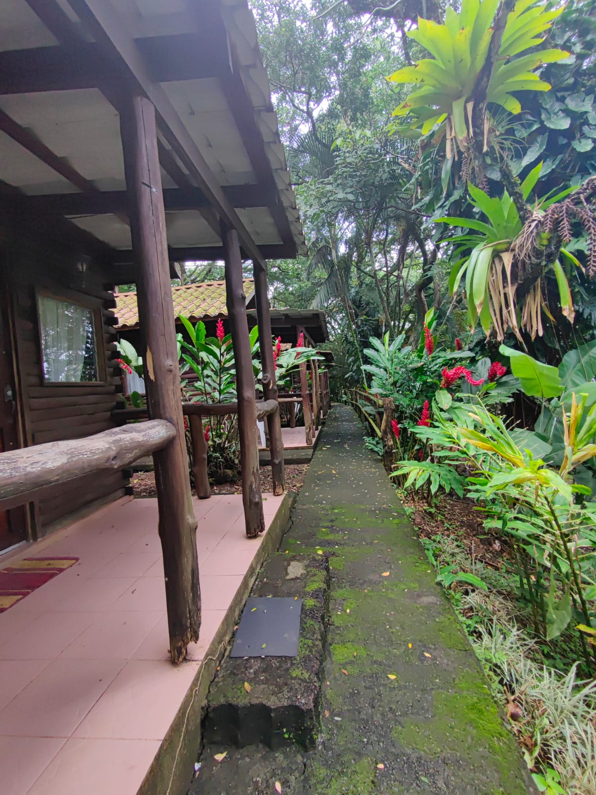 Touristic Complex w/Restaurant, Pools, Cabins, House and more!  photo 29