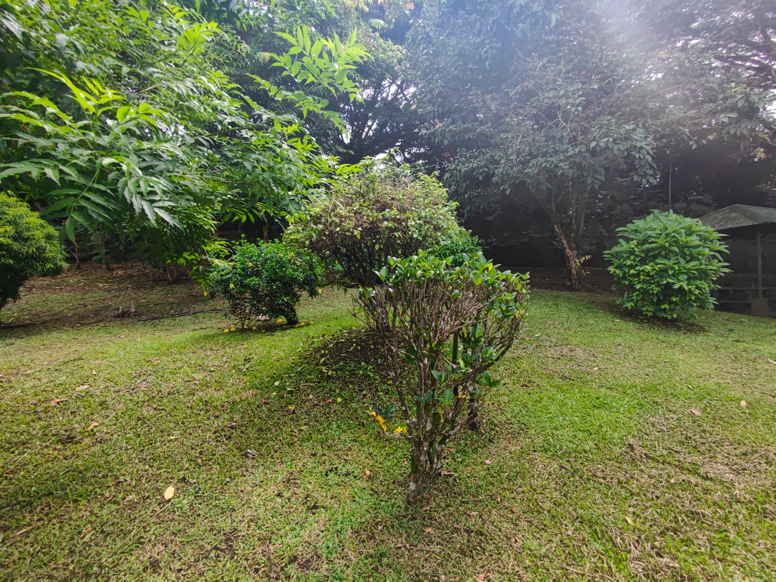 Touristic Complex w/Restaurant, Pools, Cabins, House and more!  photo 55