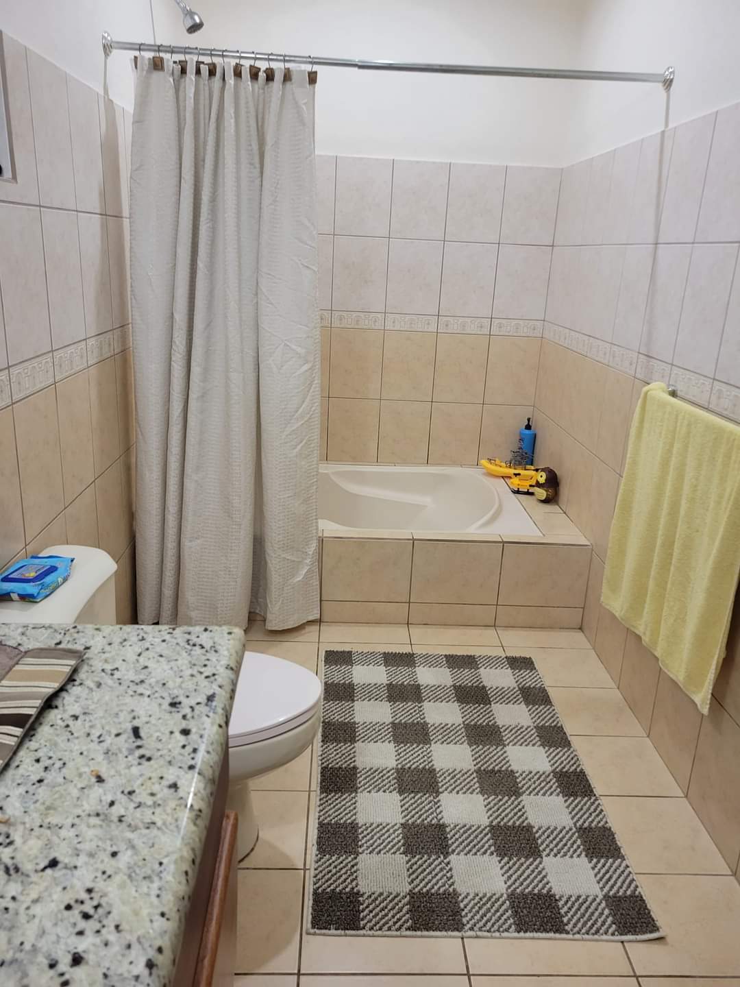 Fully Furnished, Upscale, 4 BD, 2.5 BA, Lake View Home – Parcelas de Quebrada Azul  photo 11