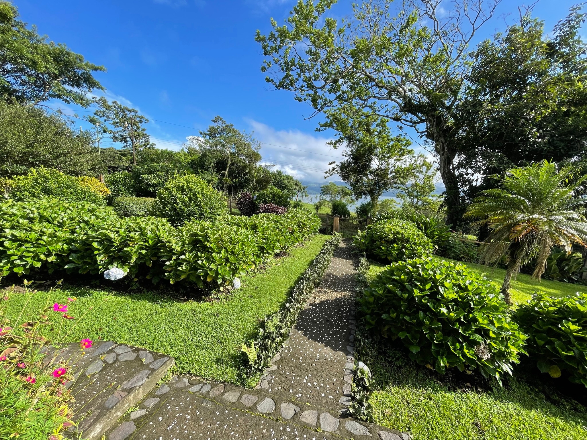 Lake & Volcano View Home, Salt Water Pool, Workshop near San Luis -2BD/2BA –  photo 12