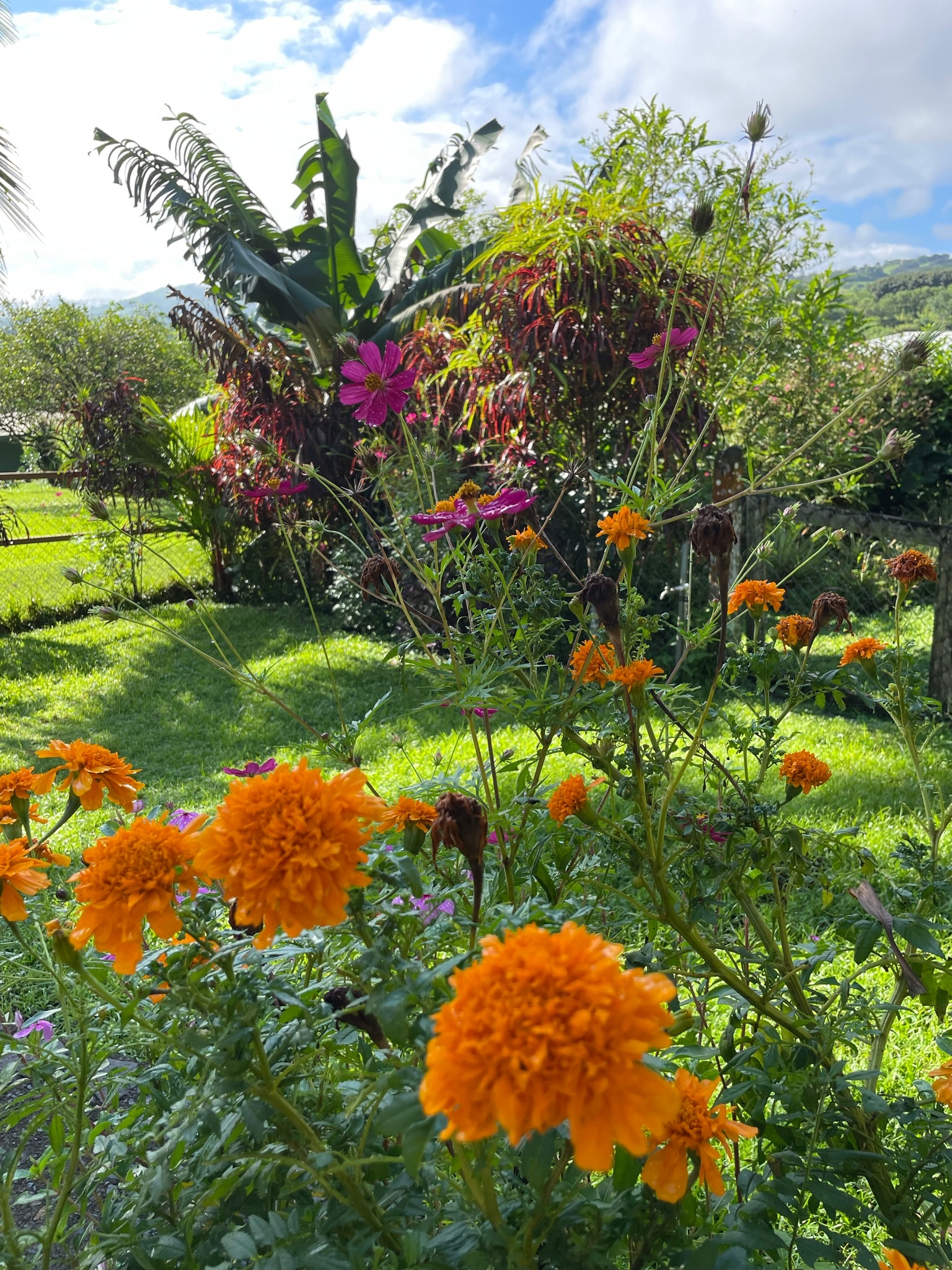 Lake & Volcano View Home, Salt Water Pool, Workshop near San Luis -2BD/2BA –  photo 14