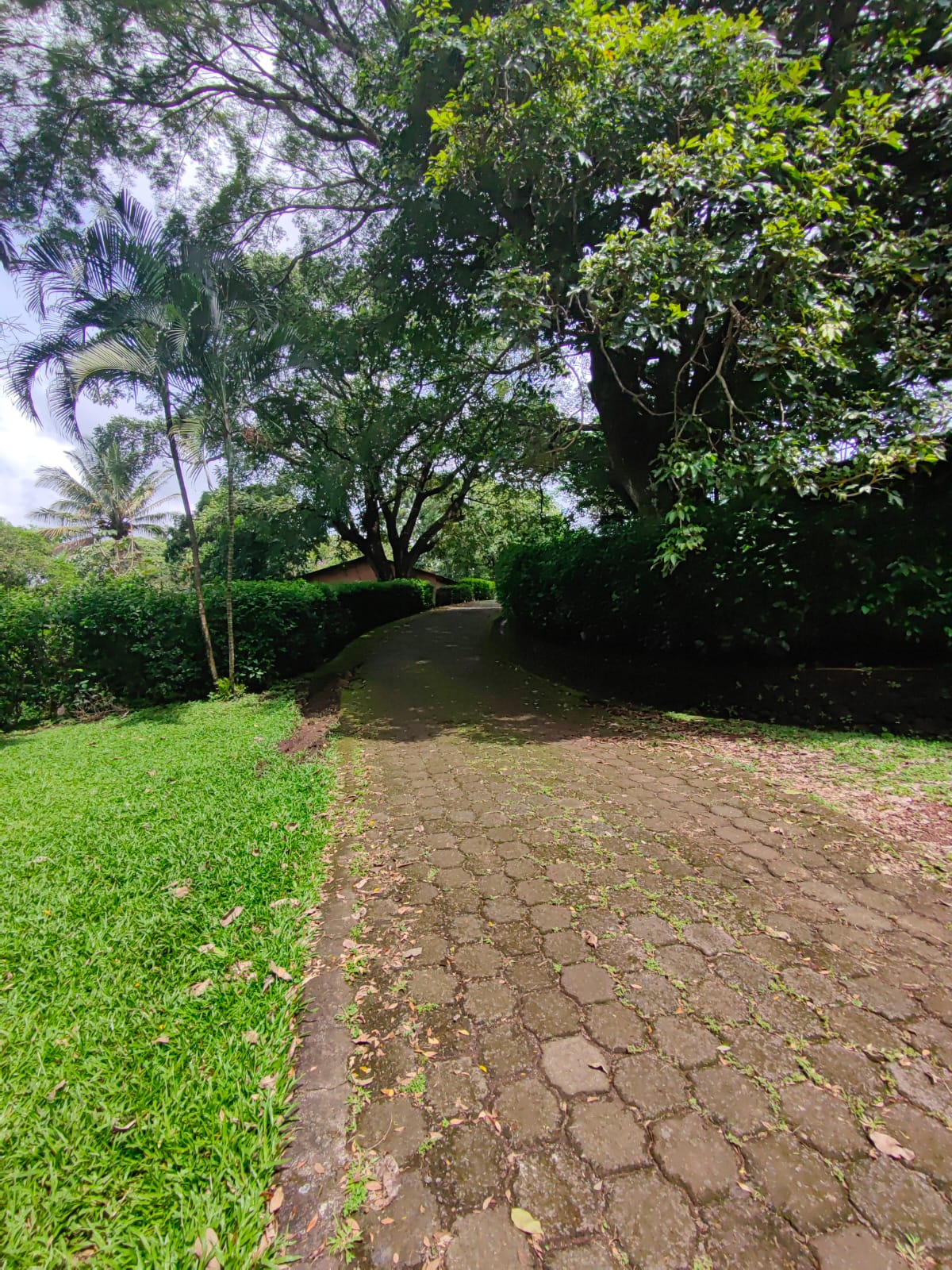 Touristic Complex w/Restaurant, Pools, Cabins, House and more!  photo 60