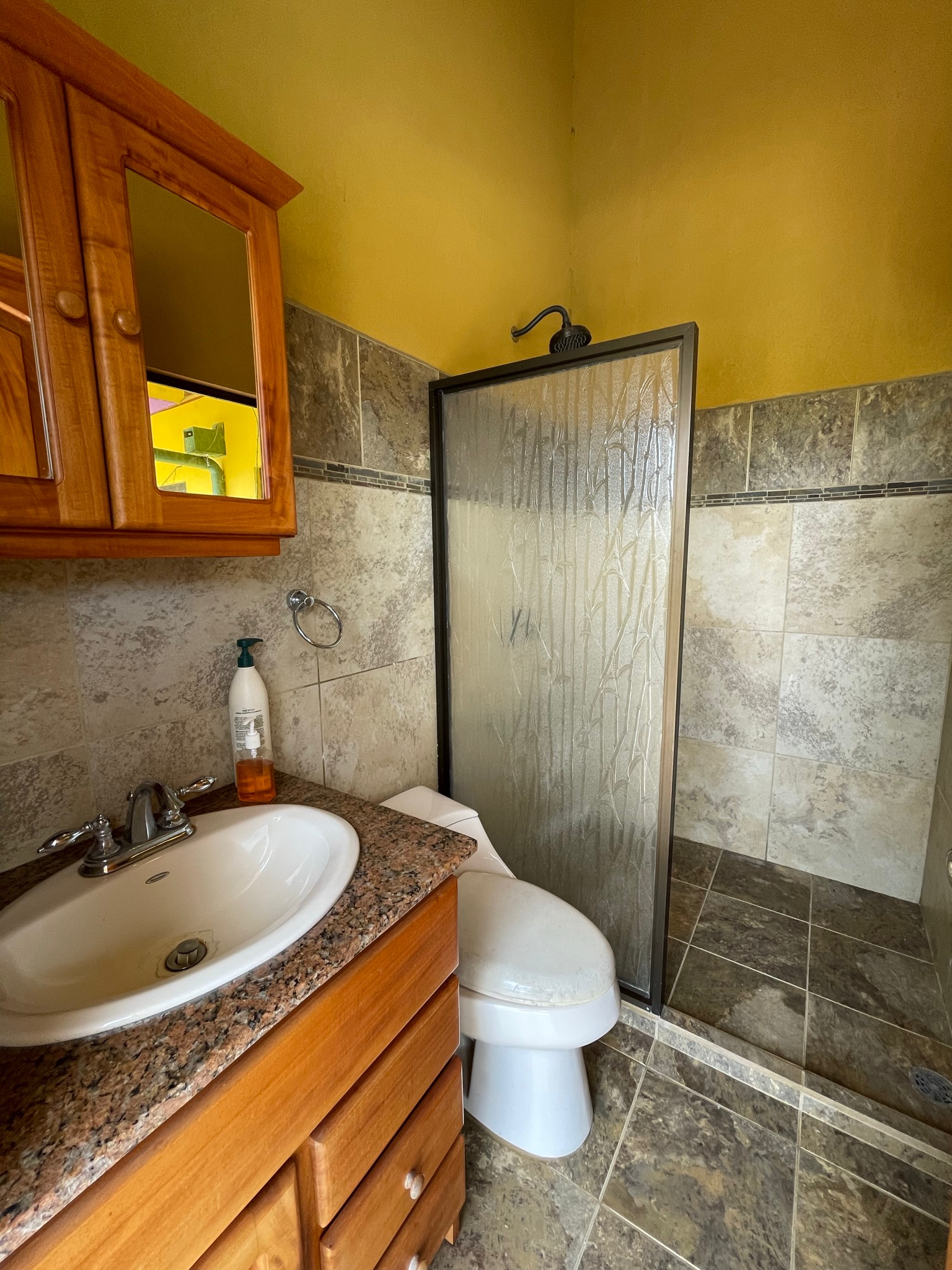 Lake & Volcano View Home, Salt Water Pool, Workshop near San Luis -2BD/2BA –  photo 7