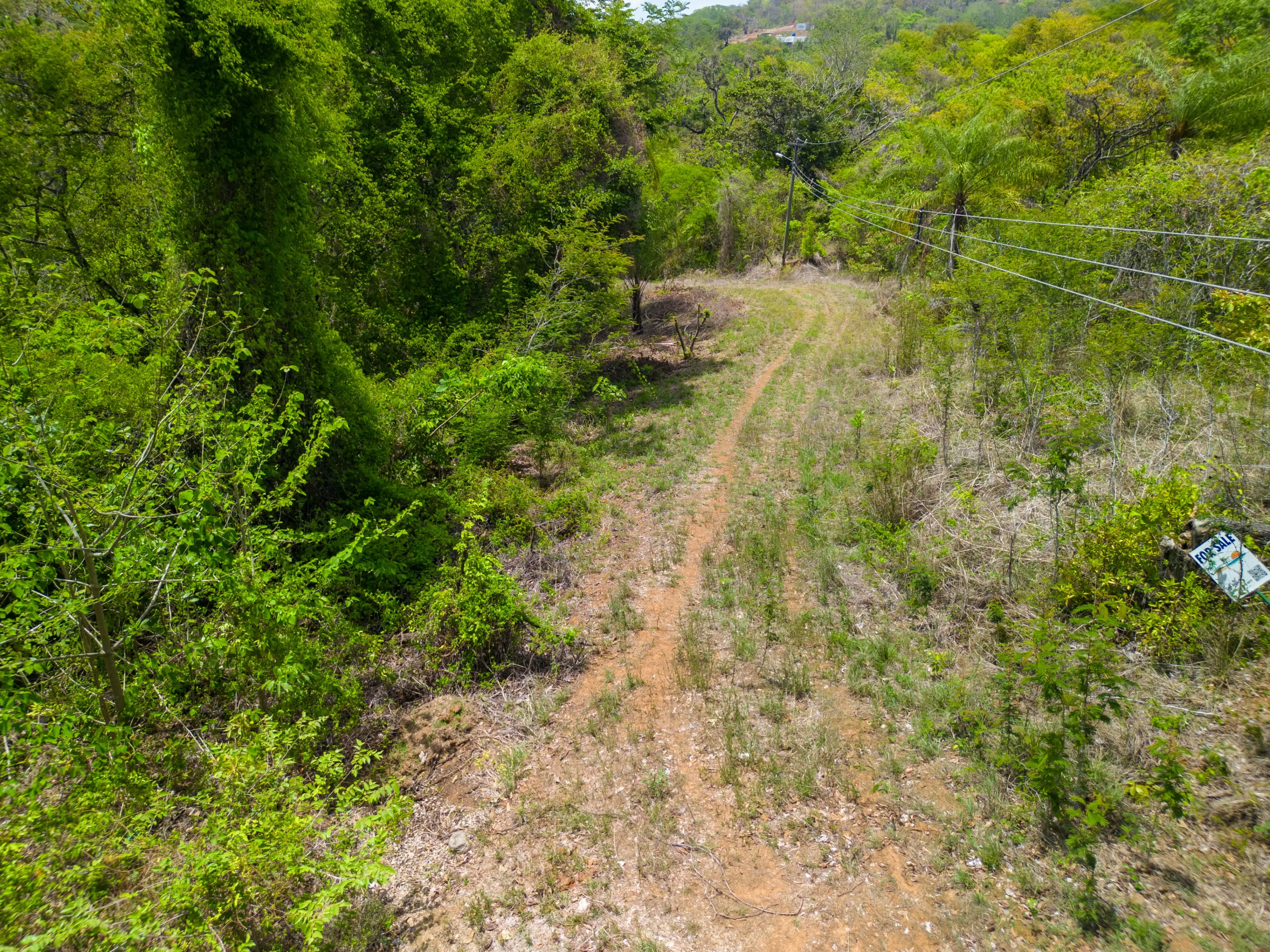 Lot 121 in Eo Development, Playa Lagarto – Prime 5,000 m² Investment Opportunity photo 5