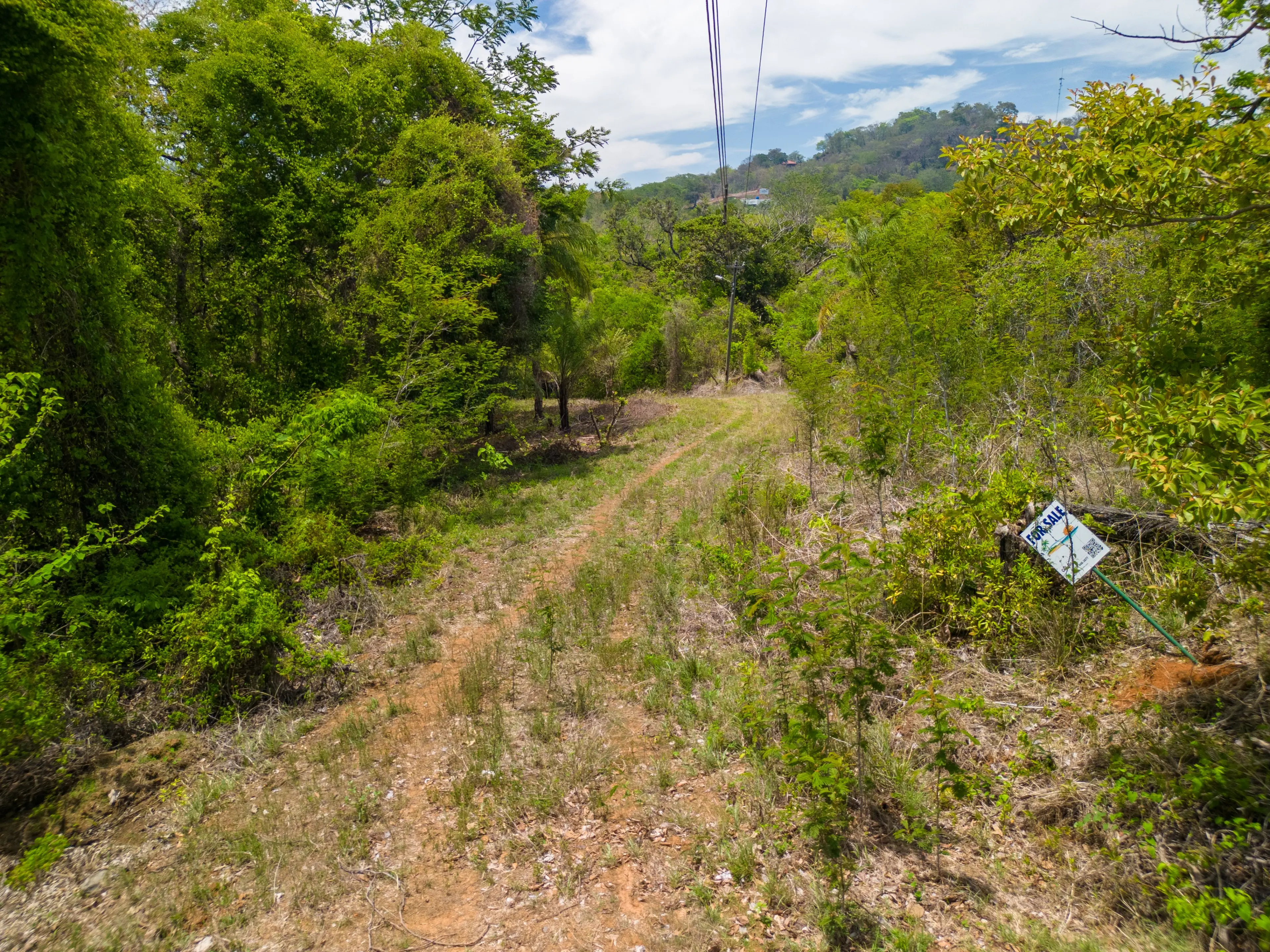 Lot 121 in Eo Development, Playa Lagarto – Prime 5,000 m² Investment Opportunity photo 4