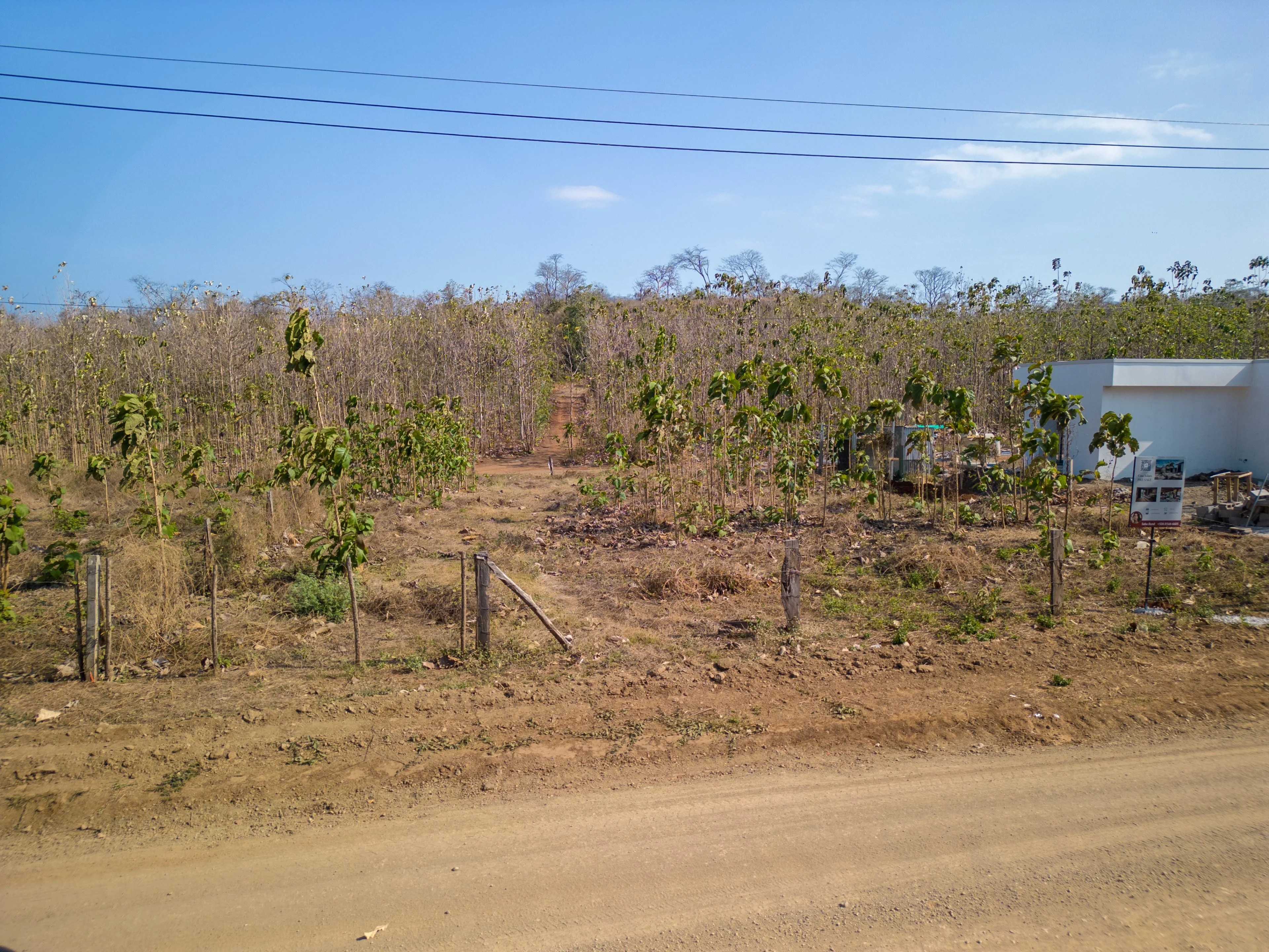 1000 m2 residential lot + free house design in San Jose de Pinilla photo 5