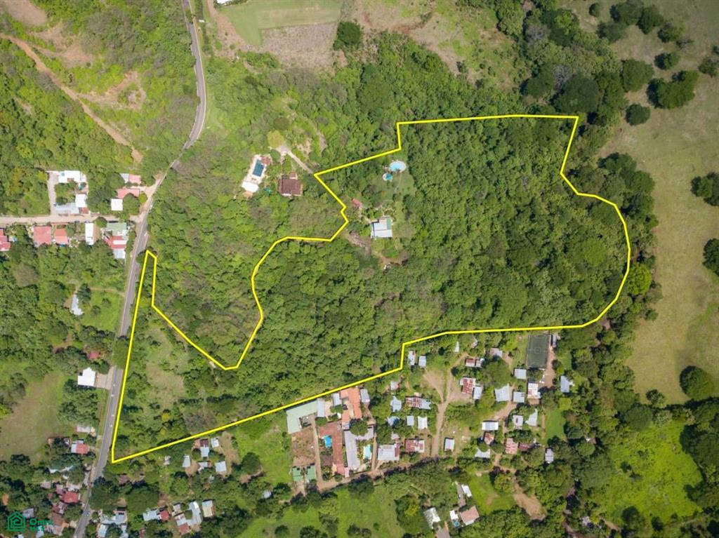 Monserrat Av. de las Palmas, Tamarindo, Santa Cruz, Guanacaste photo 4