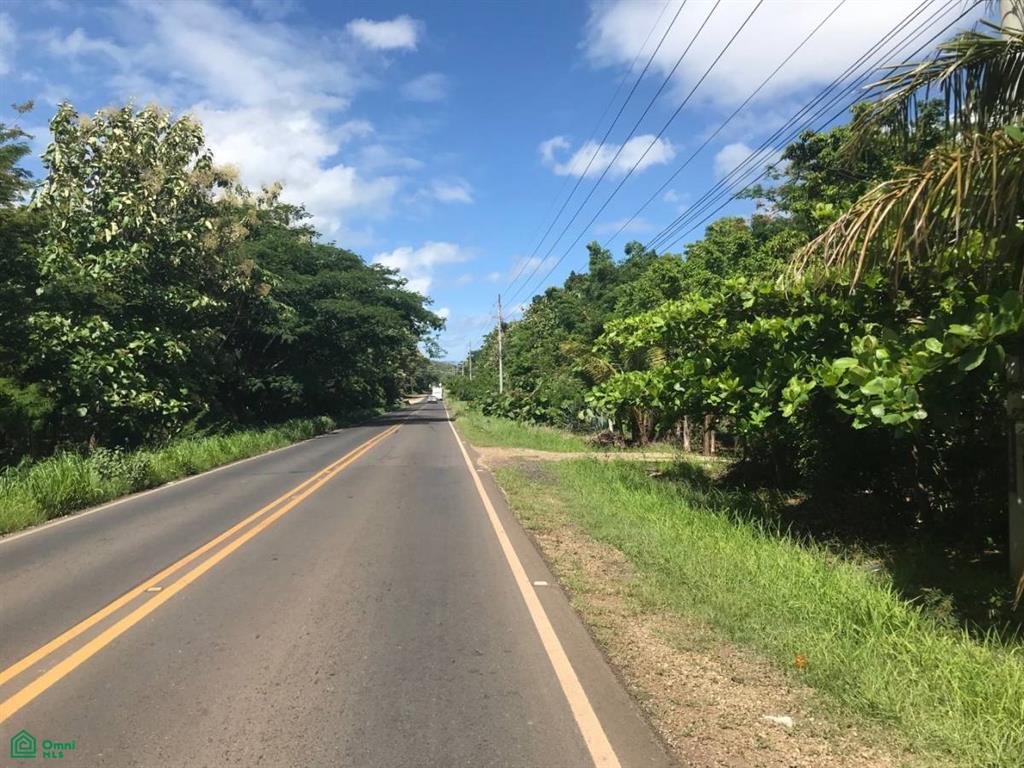 La Josefina Development Parcel , Tamarindo, Santa Cruz, Guanacaste photo 4