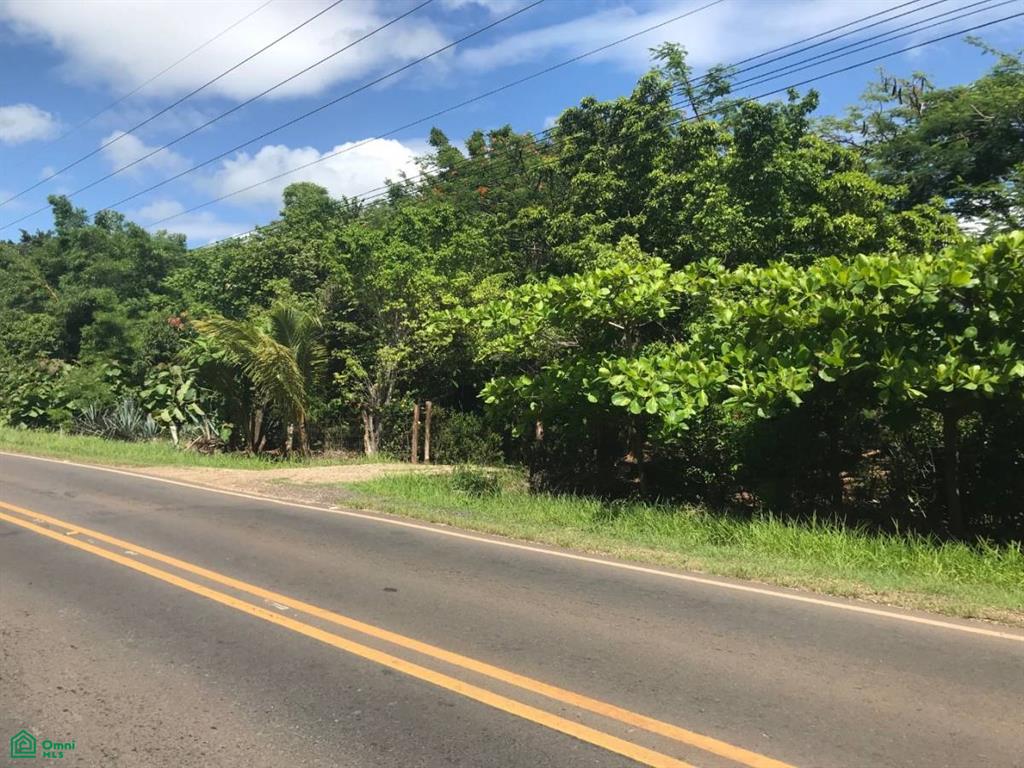 La Josefina Development Parcel , Tamarindo, Santa Cruz, Guanacaste photo 5