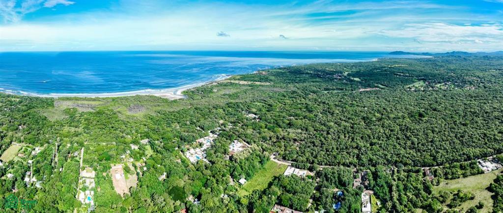 Avellanas , Tamarindo, Santa Cruz, Guanacaste photo 3