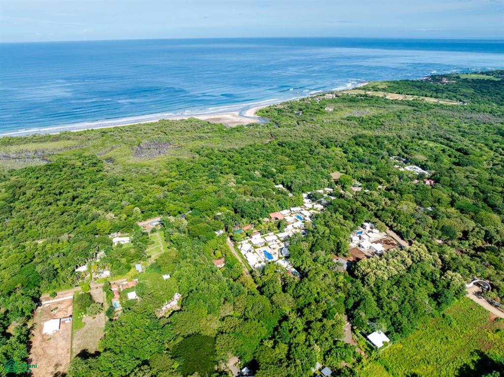 Avellanas , Tamarindo, Santa Cruz, Guanacaste photo 4