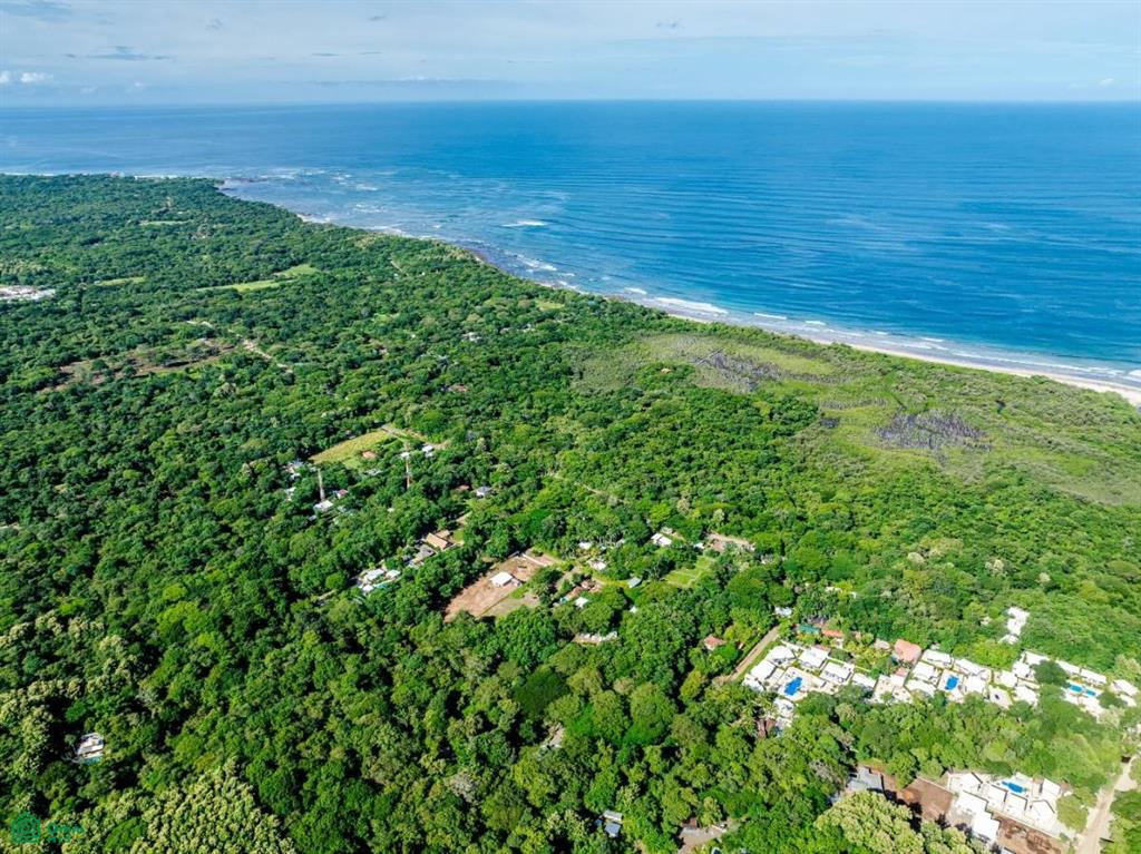 Avellanas , Tamarindo, Santa Cruz, Guanacaste photo 5