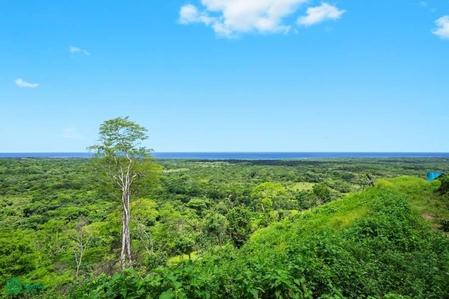 Walking Distance to Beach Club 49 One Hacienda Pinilla Premium Lot, Tamarindo, Santa Cruz, Guanacaste photo 4