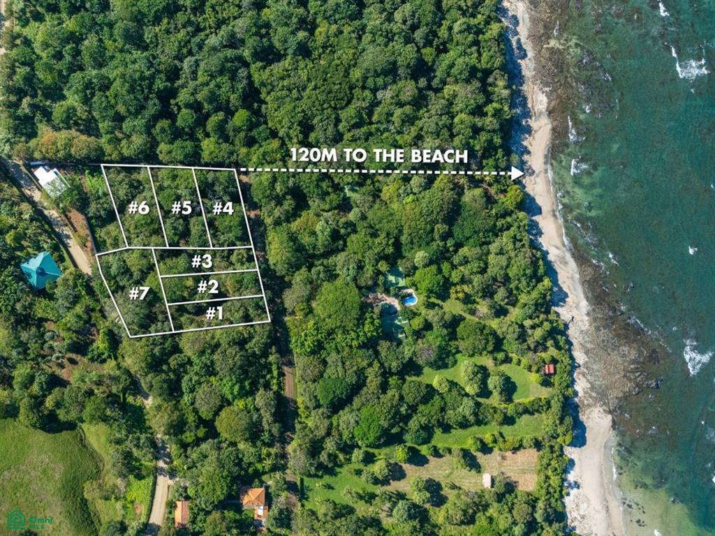 Lotes Lagartillo – Walking distance to beach , Tamarindo, Santa Cruz, Guanacaste photo 2