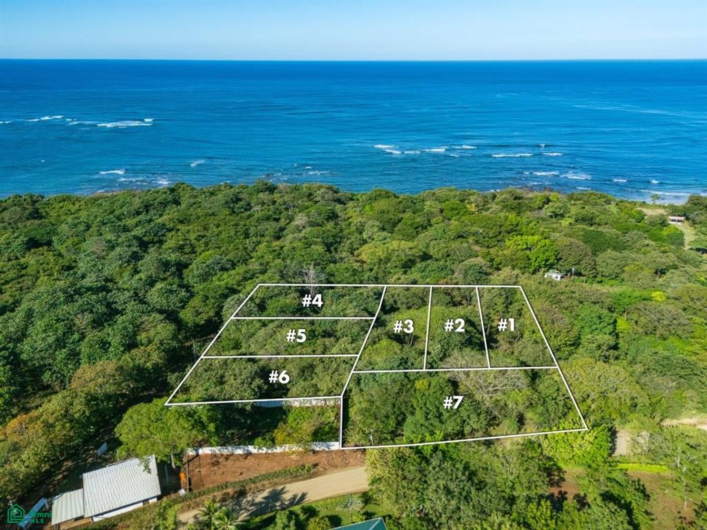 Lotes Lagartillo – Walking distance to beach , Tamarindo, Santa Cruz, Guanacaste photo 4