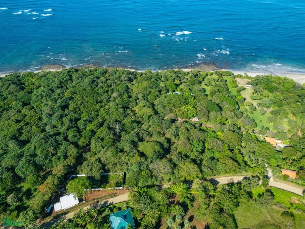 Lotes Lagartillo – Walking distance to beach , Tamarindo, Santa Cruz, Guanacaste photo 5