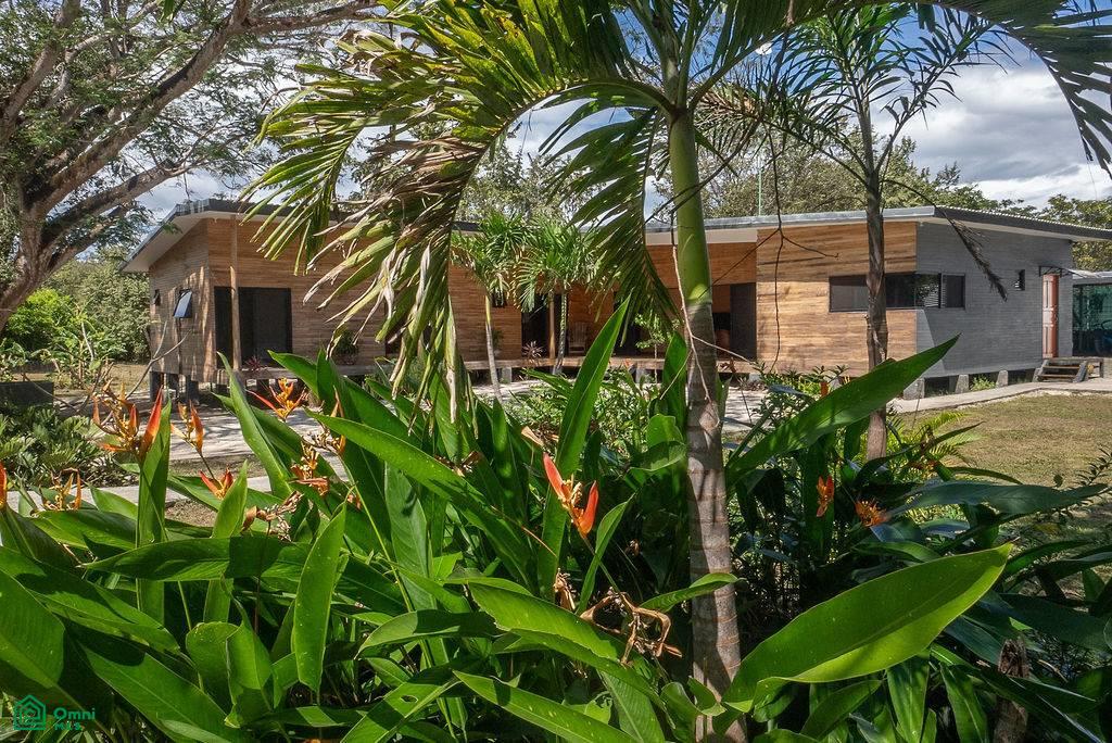 Casa Cultura Black Stallion , Tamarindo, Santa Cruz, Guanacaste photo 4