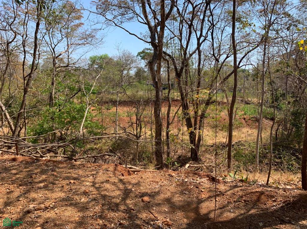 , Tamarindo, Santa Cruz, Guanacaste photo 3