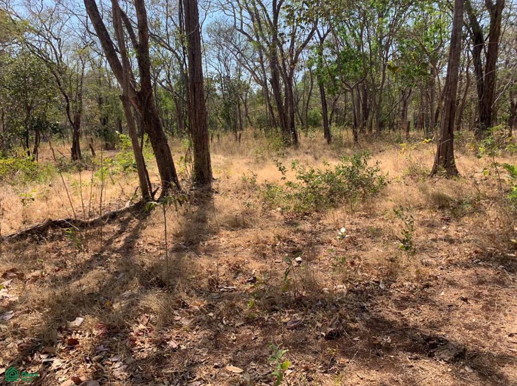 , Tamarindo, Santa Cruz, Guanacaste photo 4